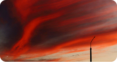 Een knusse woonkamer met een lichtgrijze bank versierd met kleurrijke kussens, omringd door groene planten. Het zonlicht stroomt door grote ramen, verlicht de ruimte en benadrukt een geweven rond kussen op de vloer naast een gekleurd tapijt.
